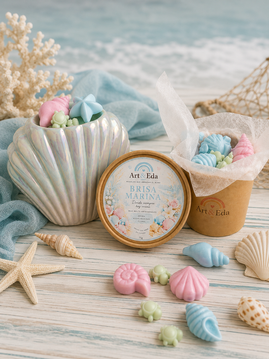 Pack Marea de Verano 🌊🐚